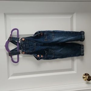 Wonder Nation overalls